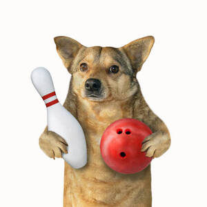 Team Page: Gutter Gliders